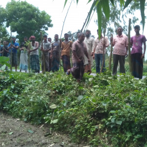 মমিনপুর ব্লক